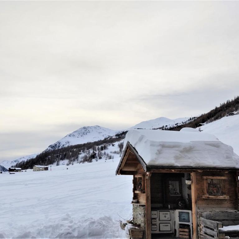Mountain Chalet Milly - Appartamento con Vista Giardino - 28