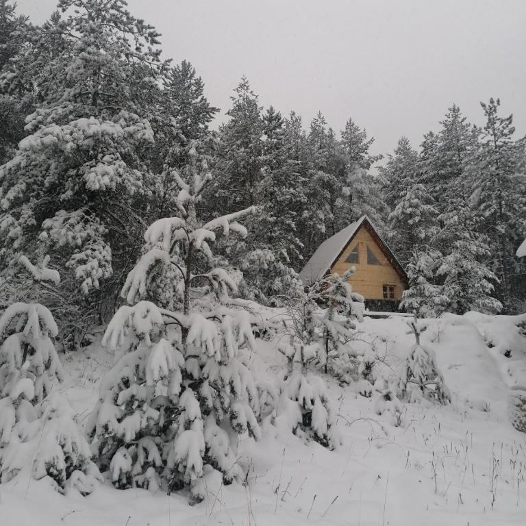 Garac Zlatibor Vikendica - Vikendica - 6
