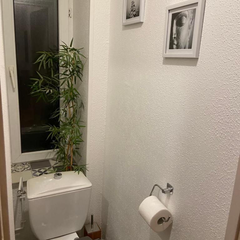chez Muriel,T2 de charme, parc Ste Marie, Nancy Thermal, Mon Désert - Appartement 1 Chambre - 13