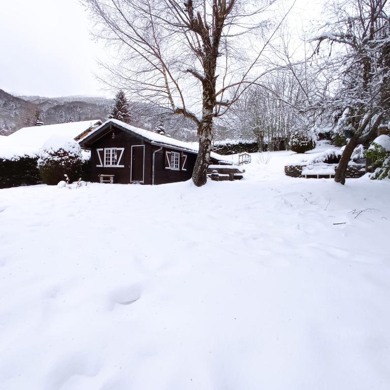Chalet des cascades - Chalet 2 Chambres - 15