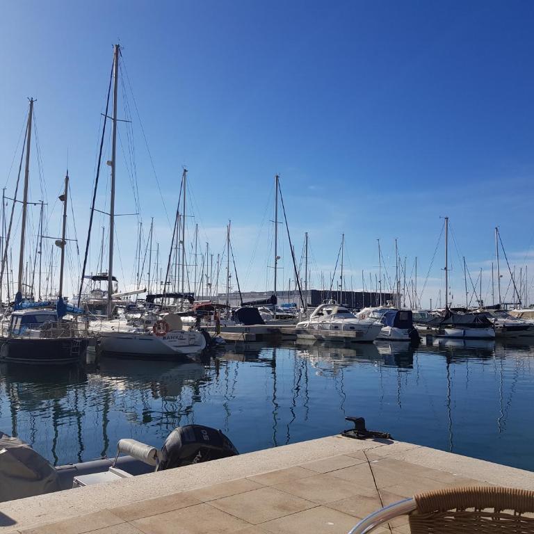 Apartamento La Mezquita - Apartamento - Planta baja - 26