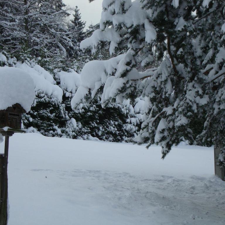 Chalet Le Paddock - Chalet 4 Chambres - 42