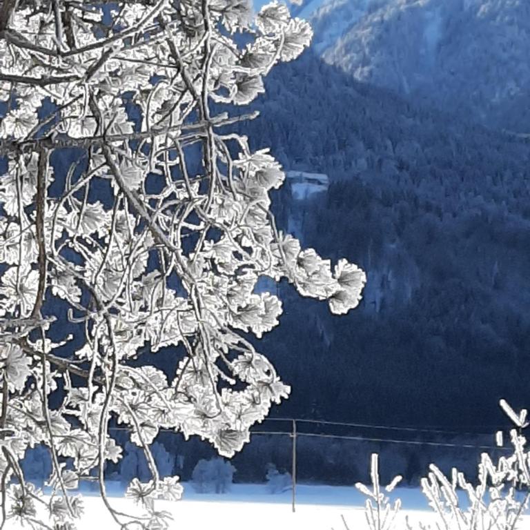 Alpenlodge Kirchbach - Apartment mit Blick auf die Berge - 2