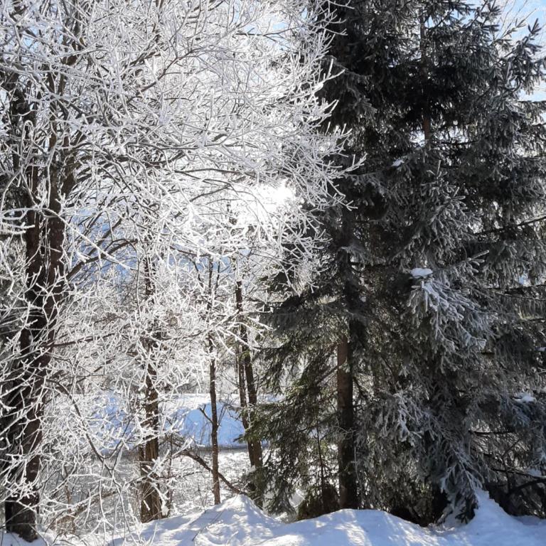 Alpenlodge Kirchbach - Apartment mit Blick auf die Berge - 6