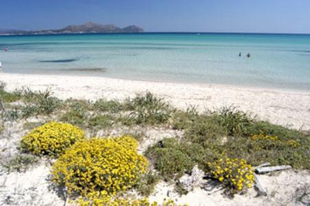 Apartment Alcudia Ocean View - Apartamento de 2 dormitorios - 18