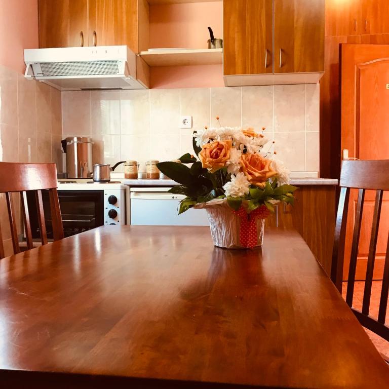 Apartments Vukomanović - Studio s Pogledom na Vrt - 14