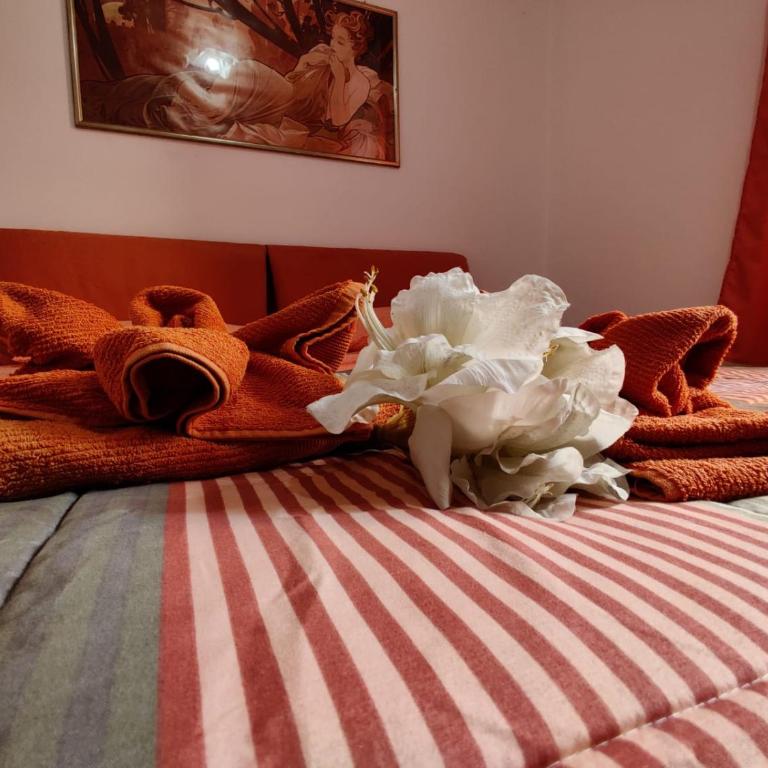 WOW HOME - 175 mq - posteggio privato - davanti porto traghetti - fino a 10 posti letto - Appartamento Deluxe - 16