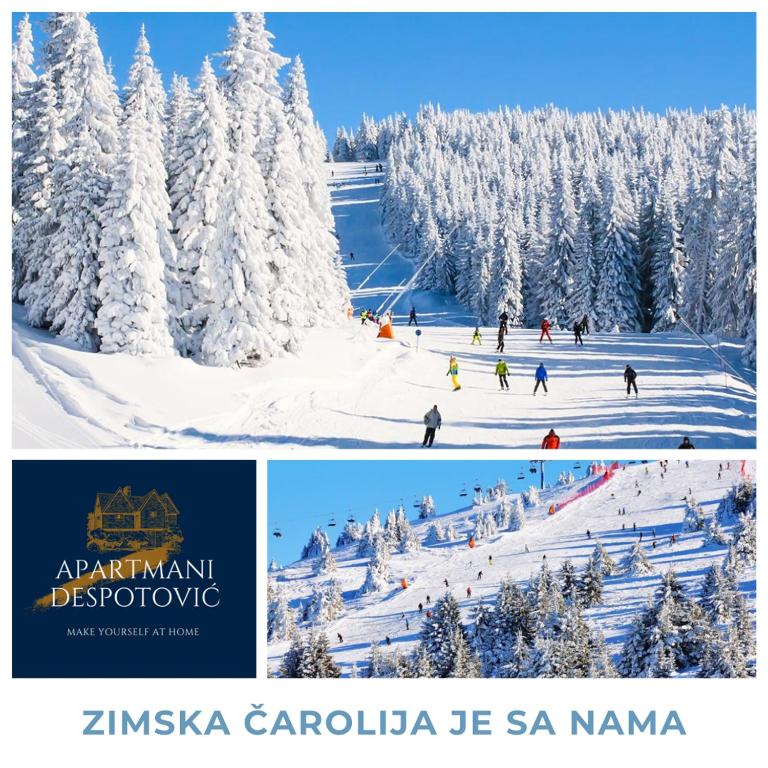 Apartman Kopaonik Despotovic - Apartment with Mountain View - 14