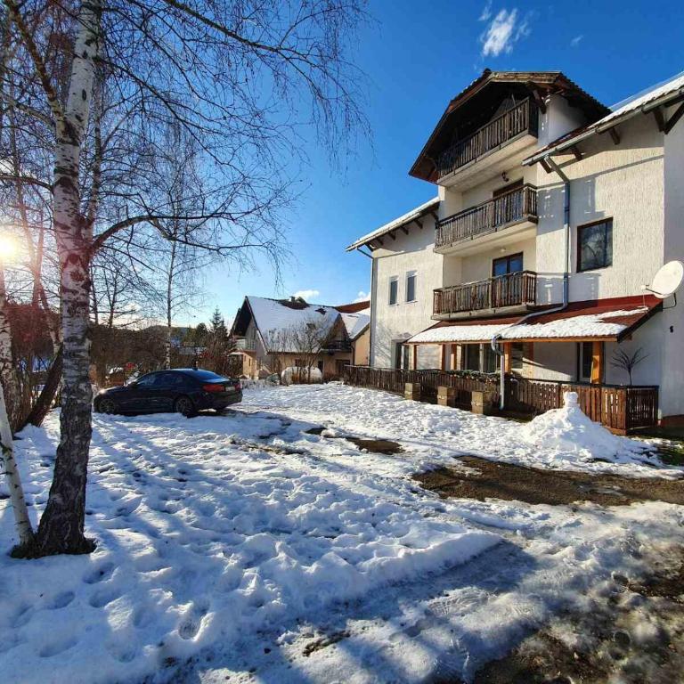 Zlatibor U&A - Apartman sa 1 Spavaćom Sobom - 21