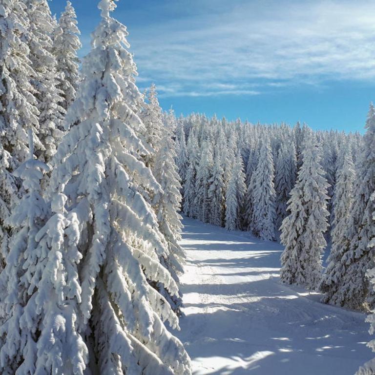 Apartman NERA - u Kraljevim čardacima Kopaonik - Deluks Studio Apartman sa Terasom - 31