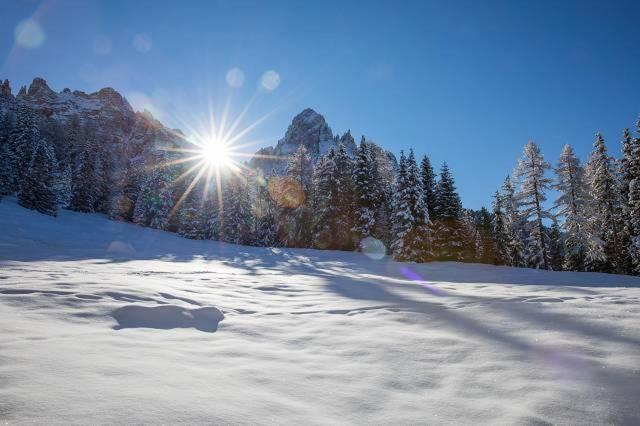 Appartments zum Beck - Appartamento con Terrazza - 13