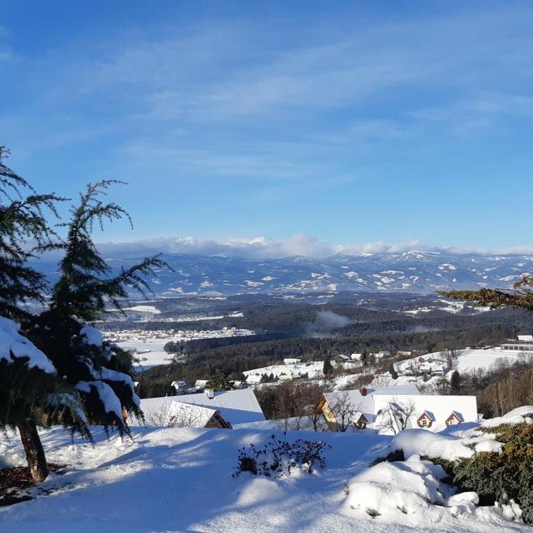 Wein- und Weitblick - Appartamento con 2 Camere da Letto - 14