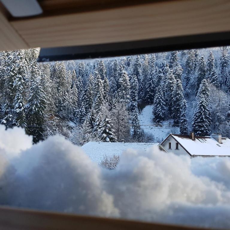 Le petit Kichon - Appartement - 37