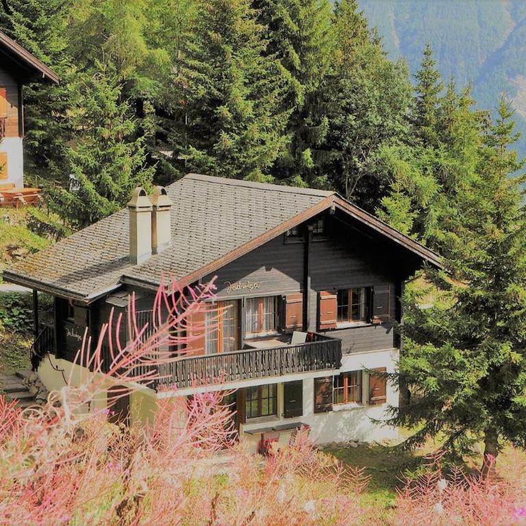 Jadwiga EG - Apartment mit Blick auf die Berge - 24