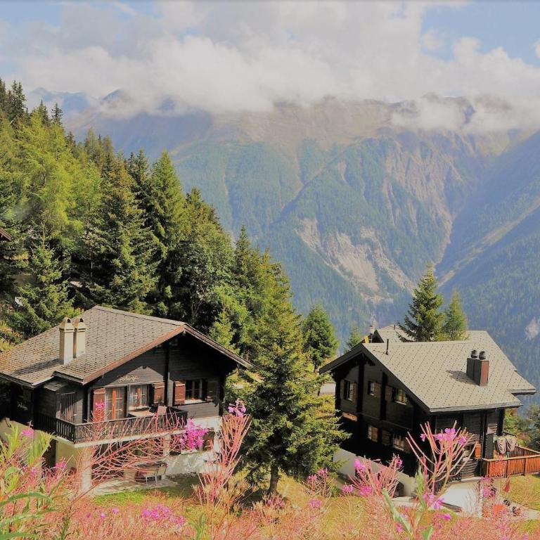 Jadwiga EG - Apartment mit Blick auf die Berge - 18