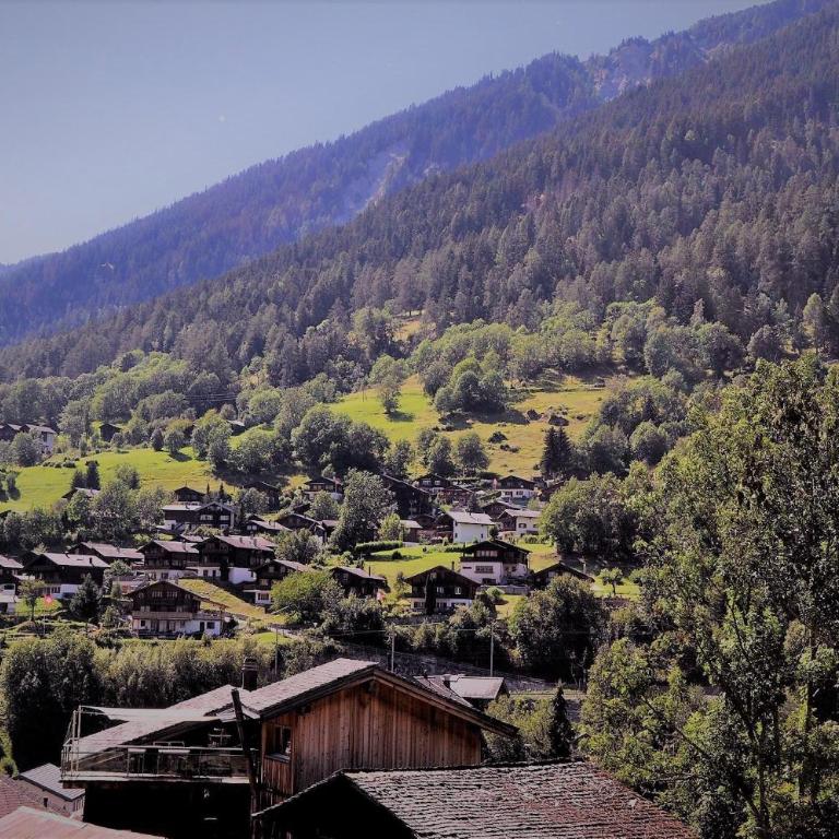 Aleid Sunshine - Apartment mit Blick auf die Berge - 29