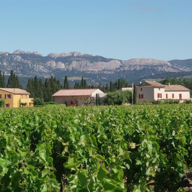 Gîte Les Vignes - Appartement 2 Chambres - 18