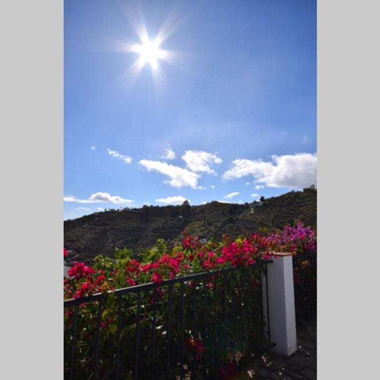 El Quinto Pino, Frigiliana Luxury Country villa with pool and parking HansOnHoliday Rentals - Apartamento - 12