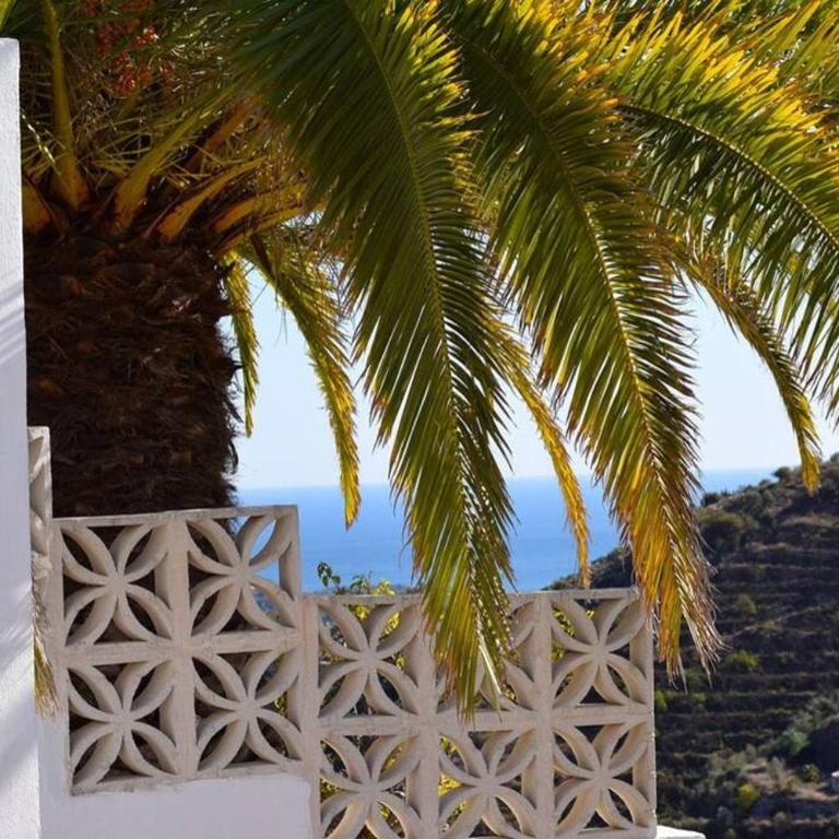 El Quinto Pino, Frigiliana Luxury Country villa with pool and parking HansOnHoliday Rentals - Apartamento - 22