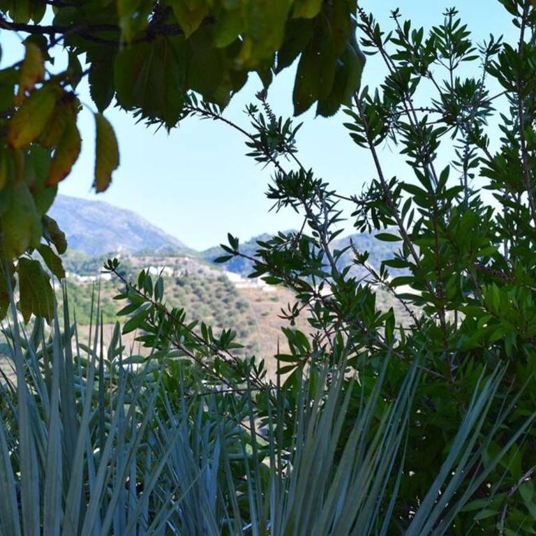El Quinto Pino, Frigiliana Luxury Country villa with pool and parking HansOnHoliday Rentals - Apartamento - 57