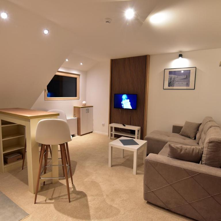 Kopaonik konak Koznik - Apartman sa 1 Spavaćom Sobom - 11
