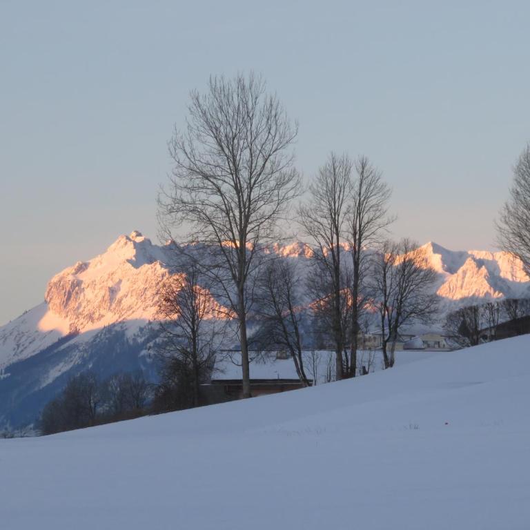 Ferienwohnungen Mooshäusl - Apartment mit Blick auf die Berge - 10