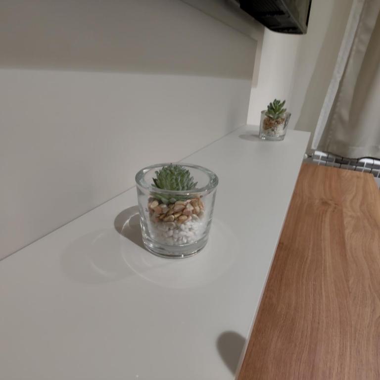 Star Hill - Koznik Konaci - One-Bedroom Apartment - 9