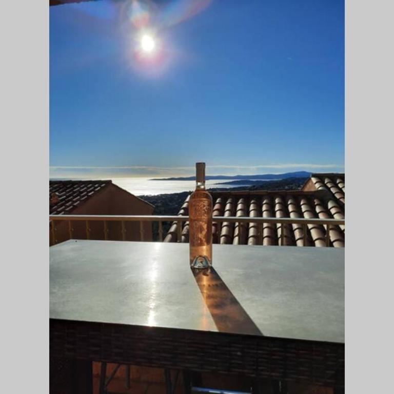 Très bel appartement T3 avec splendide vue mer - Appartement 2 Chambres - 1
