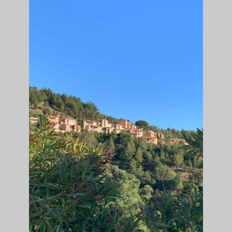 Très bel appartement T3 avec splendide vue mer - Appartement 2 Chambres - 12