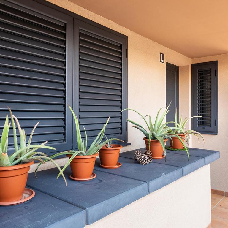 SEA VIEW Paraiso II by Sunkeyrents - Apartamento con vistas al mar - 8