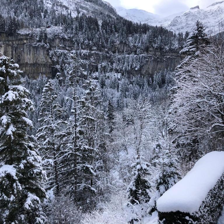 Monteilly A6 - Appartement avec Vue sur la Montagne - 10