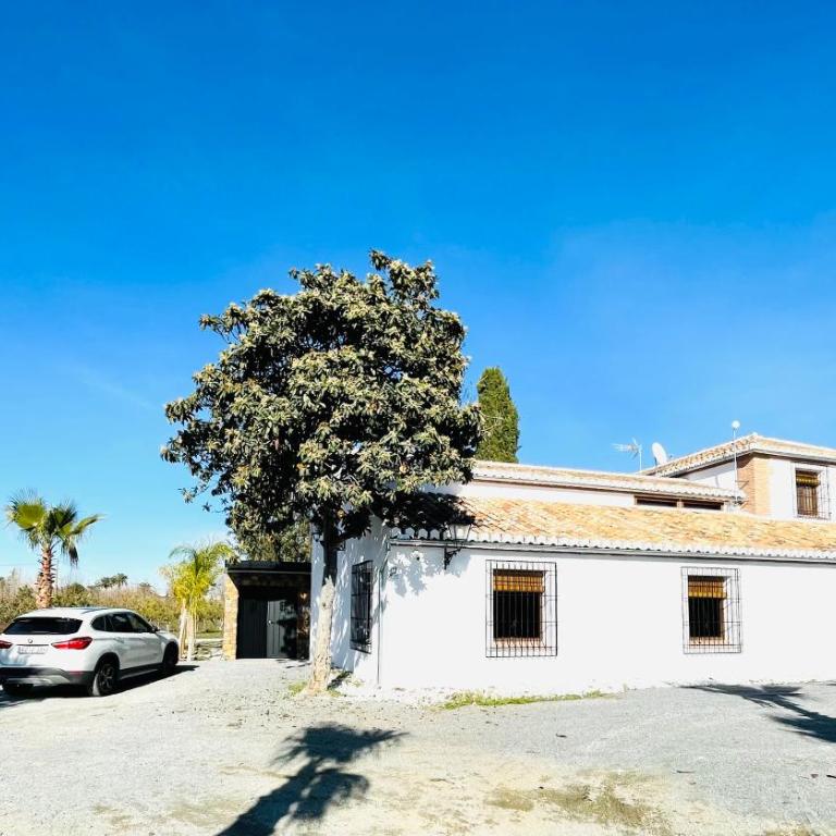 COMPLEJO RURAL TORRES Y NAVAS - Vacation Home - 8