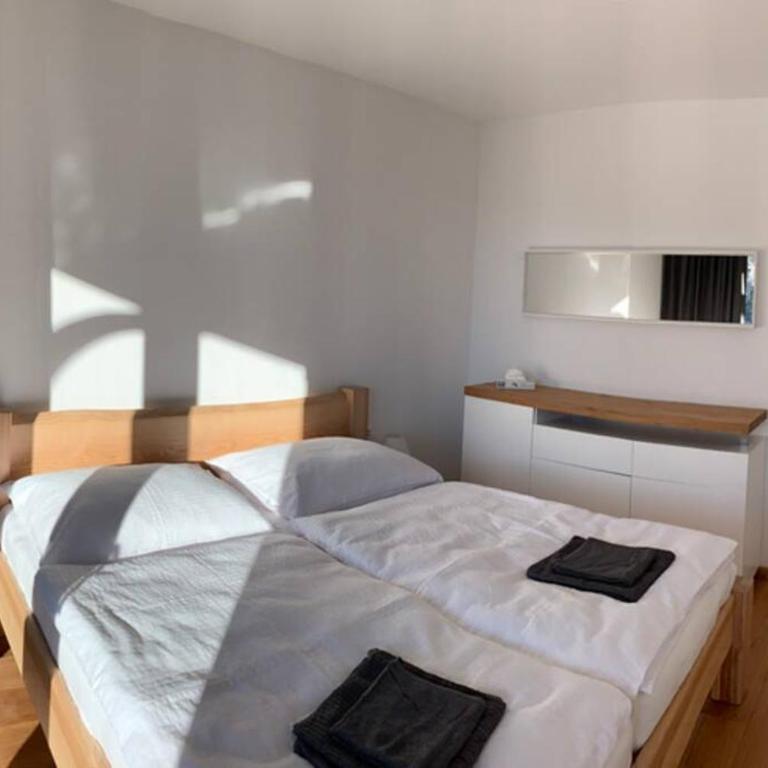 Apartman Hechlstein v Tauplitz - Apartment mit 2 Schlafzimmern - 20