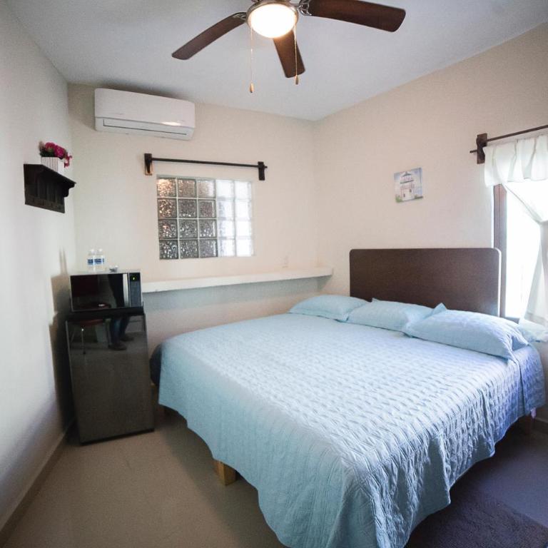 Posada Bugambilia - Apartment - Ground Floor - 1