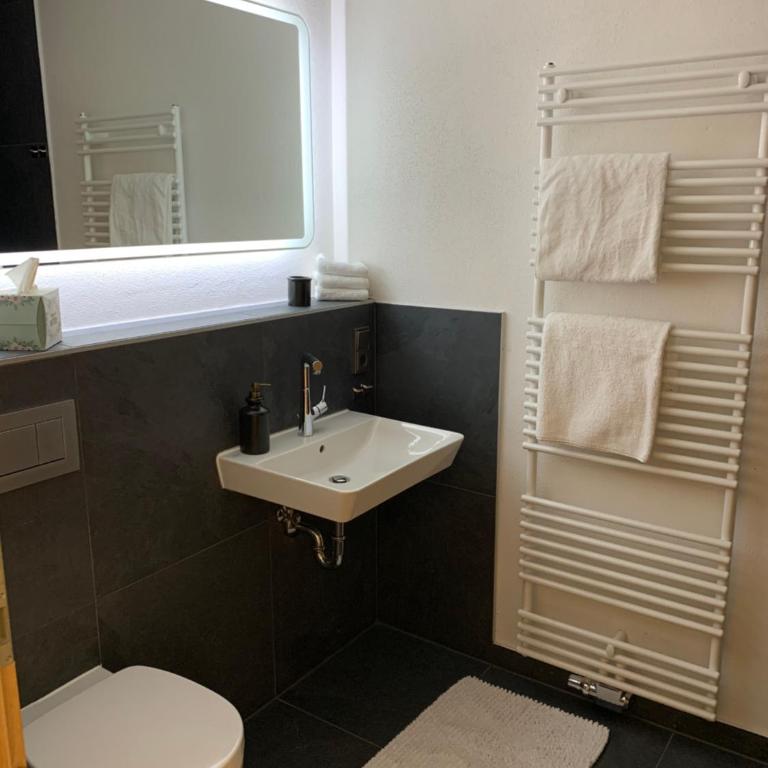 Ferienwohnung Geisberg - Moderne Wohnung mit alpinem Flair in Traumlage - Appartement 1 Chambre - 12