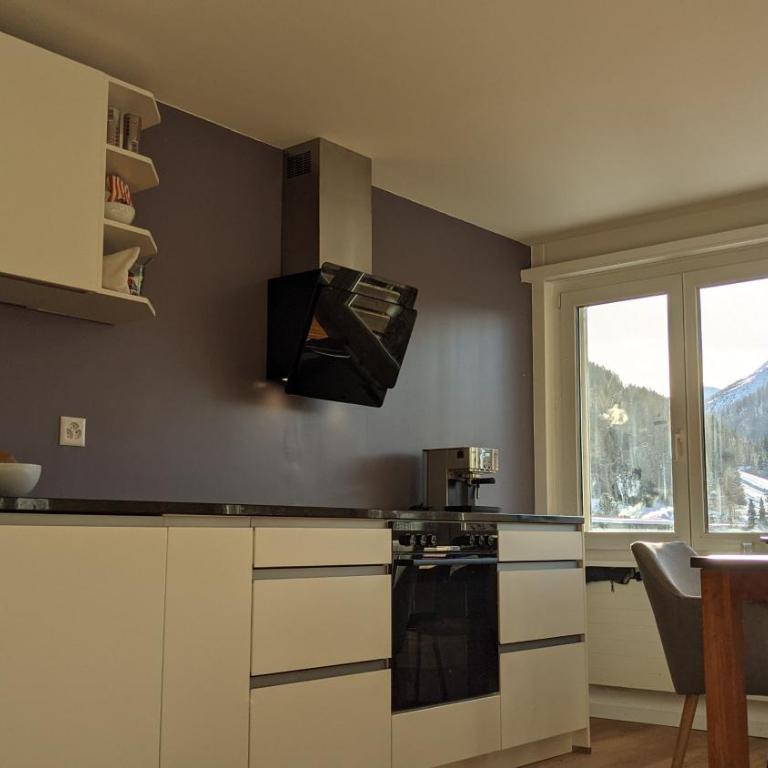 Ferienwohnung Parsennblick mit Dachterrasse - Apartment mit 1 Schlafzimmer - 10