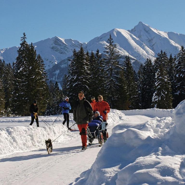 Apartment in Seefeld near Rosshütte Ski Resort - Apartment mit 2 Schlafzimmern - 30