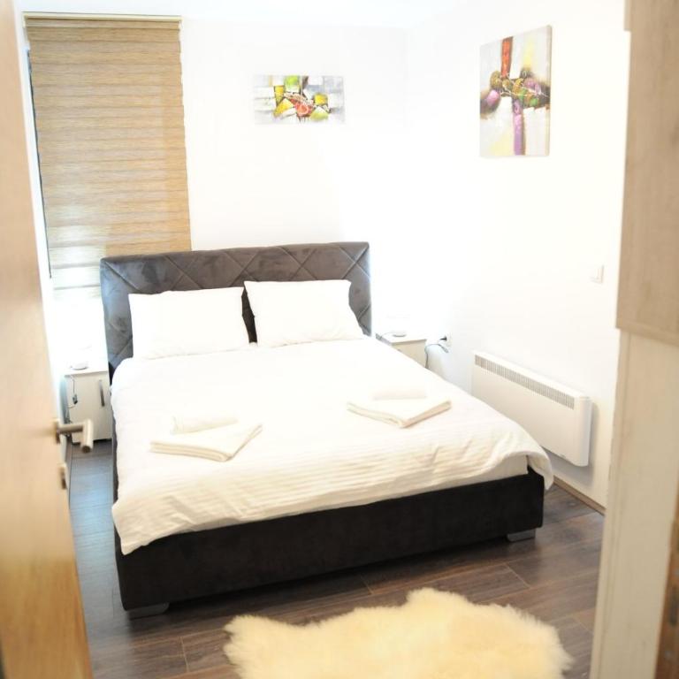 Apartman Kalina Suncani Breg - Apartman sa 1 Spavaćom Sobom - 9
