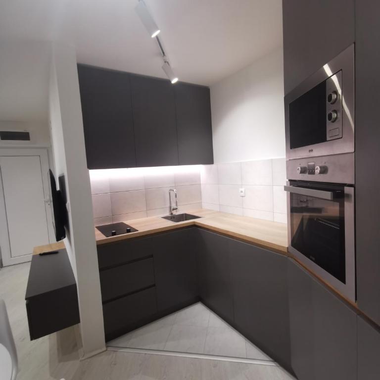 Crni bor - Studio - 5