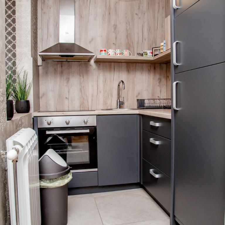 Apartman Andrija Zlatibor - Deluxe Apartment - 14