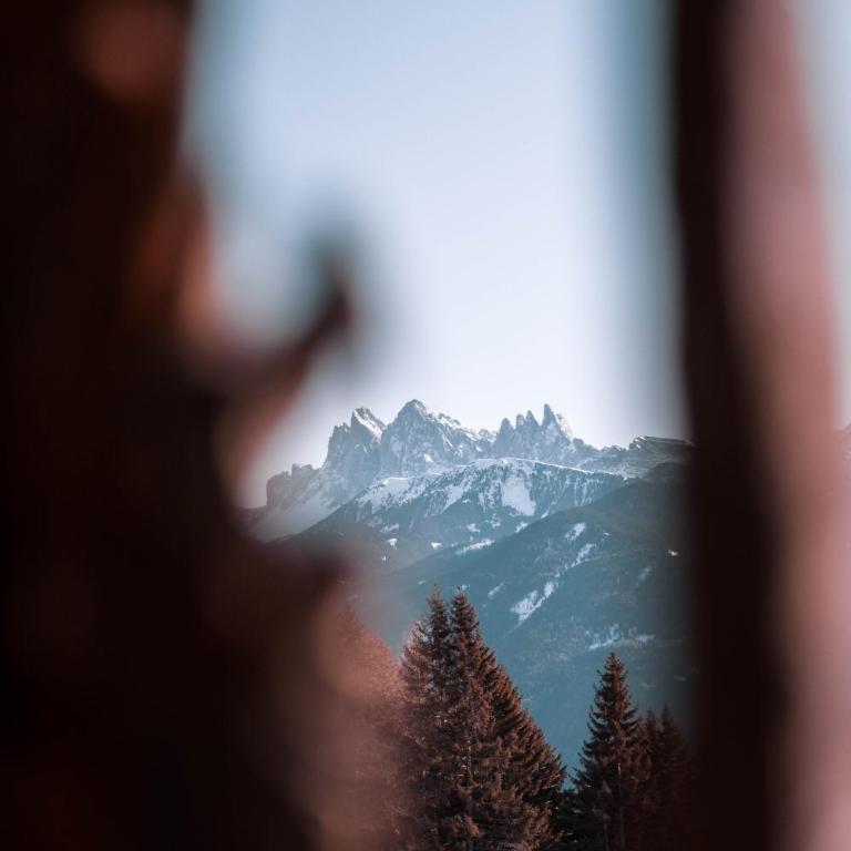 HAUSERHOF Farmhouse with Dolomite View - Apartment mit Blick auf die Berge - 33