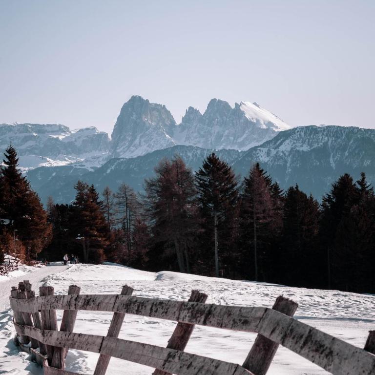 HAUSERHOF Farmhouse with Dolomite View - Apartment mit Blick auf die Berge - 1