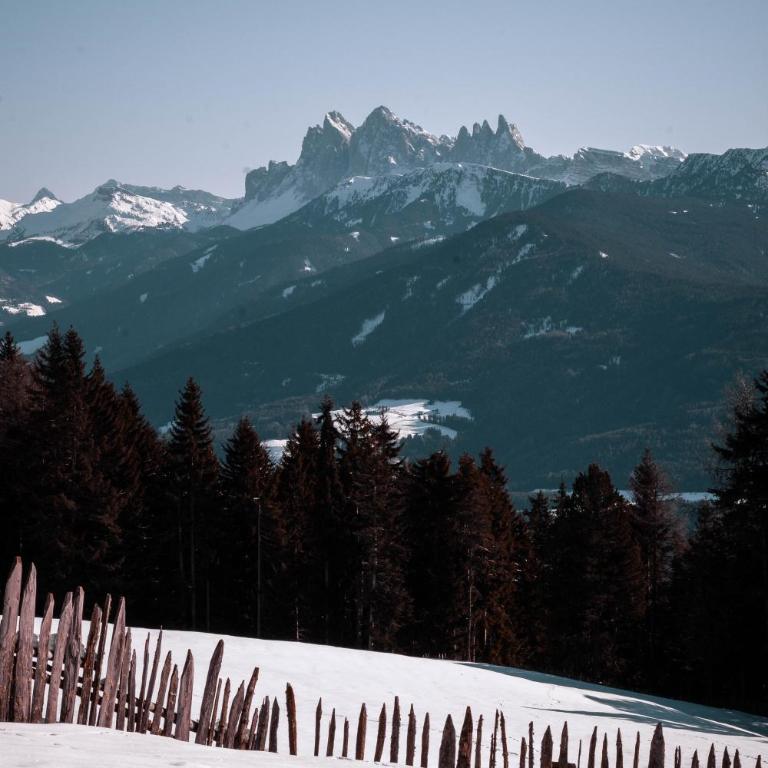 HAUSERHOF Farmhouse with Dolomite View - Apartment mit Gartenblick - 23