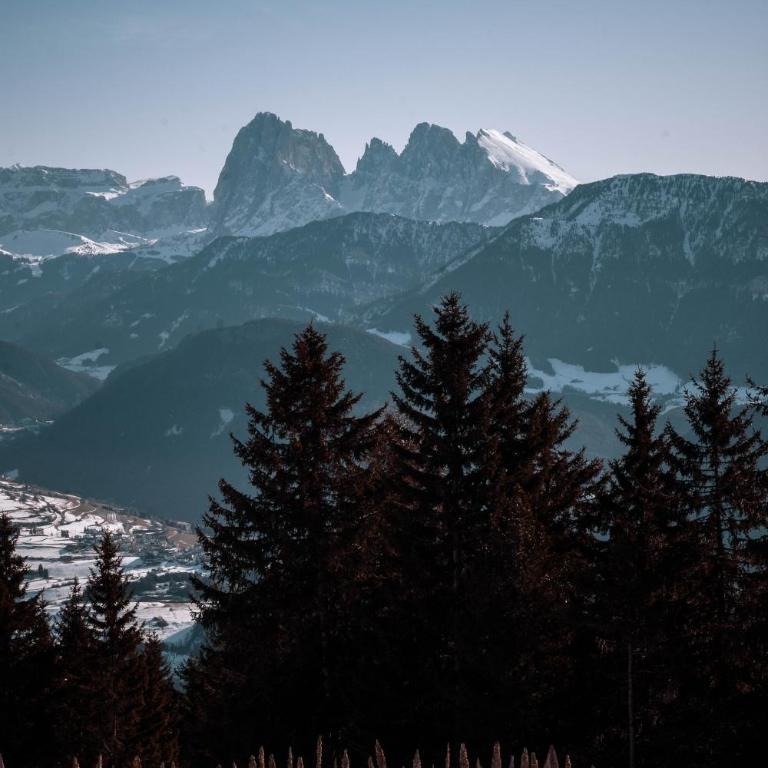 HAUSERHOF Farmhouse with Dolomite View - Apartment mit Blick auf die Berge - 19