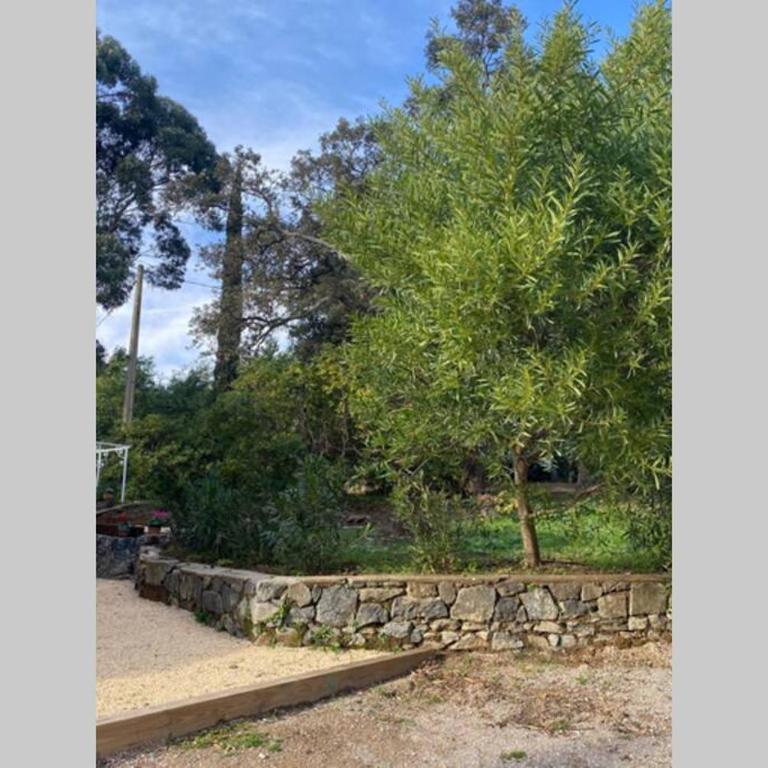 Appartement à cavalaire dans un domaine privé au rez-de-jardin - One-Bedroom Apartment - 15
