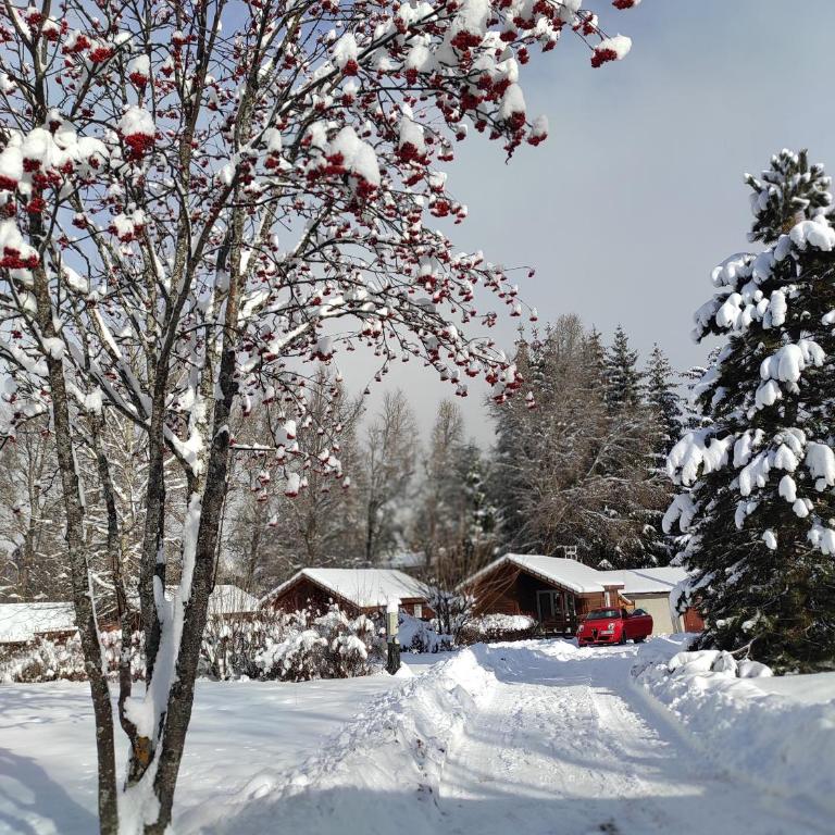 Chalet calme - Chalet 2 Chambres - 1