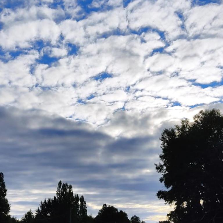 cabaña entre coihues y arrayanes - Apartamento de 1 dormitorio - 21