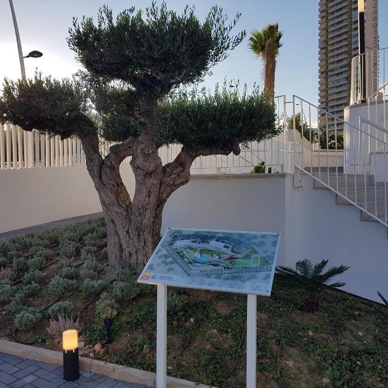 ROMERO APARTMENTS-SUNSET WAVES-BENIDORM - Two-Bedroom Apartment - 27