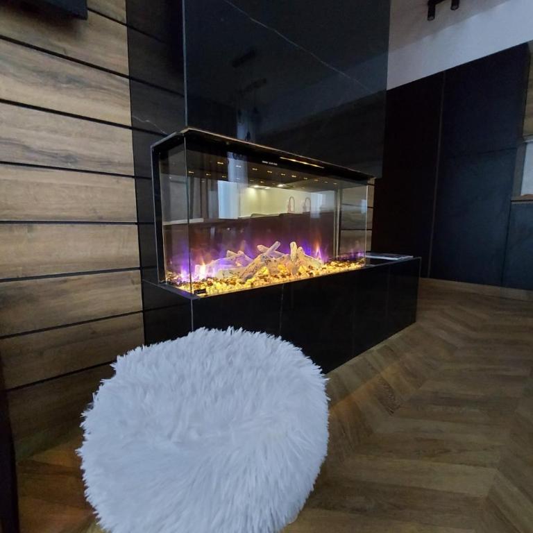 Apartmani Winner Jahorina - Two-Bedroom Apartment - 12