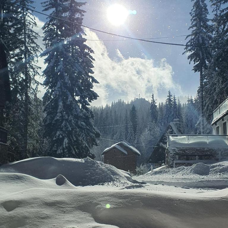 Jahorina Villa IN - Comfort Quadruple Room - 11
